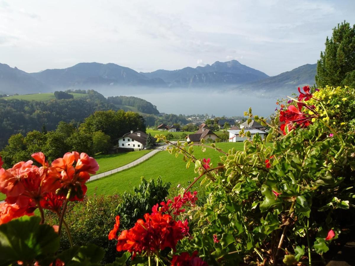 Biohof Schwanser Steinbach am Attersee Exterior photo
