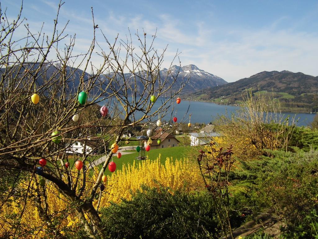 Biohof Schwanser Steinbach am Attersee Exterior photo