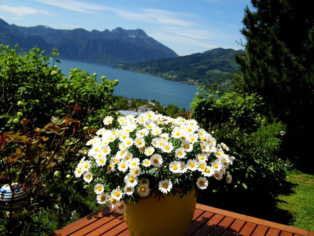 Biohof Schwanser Steinbach am Attersee Exterior photo