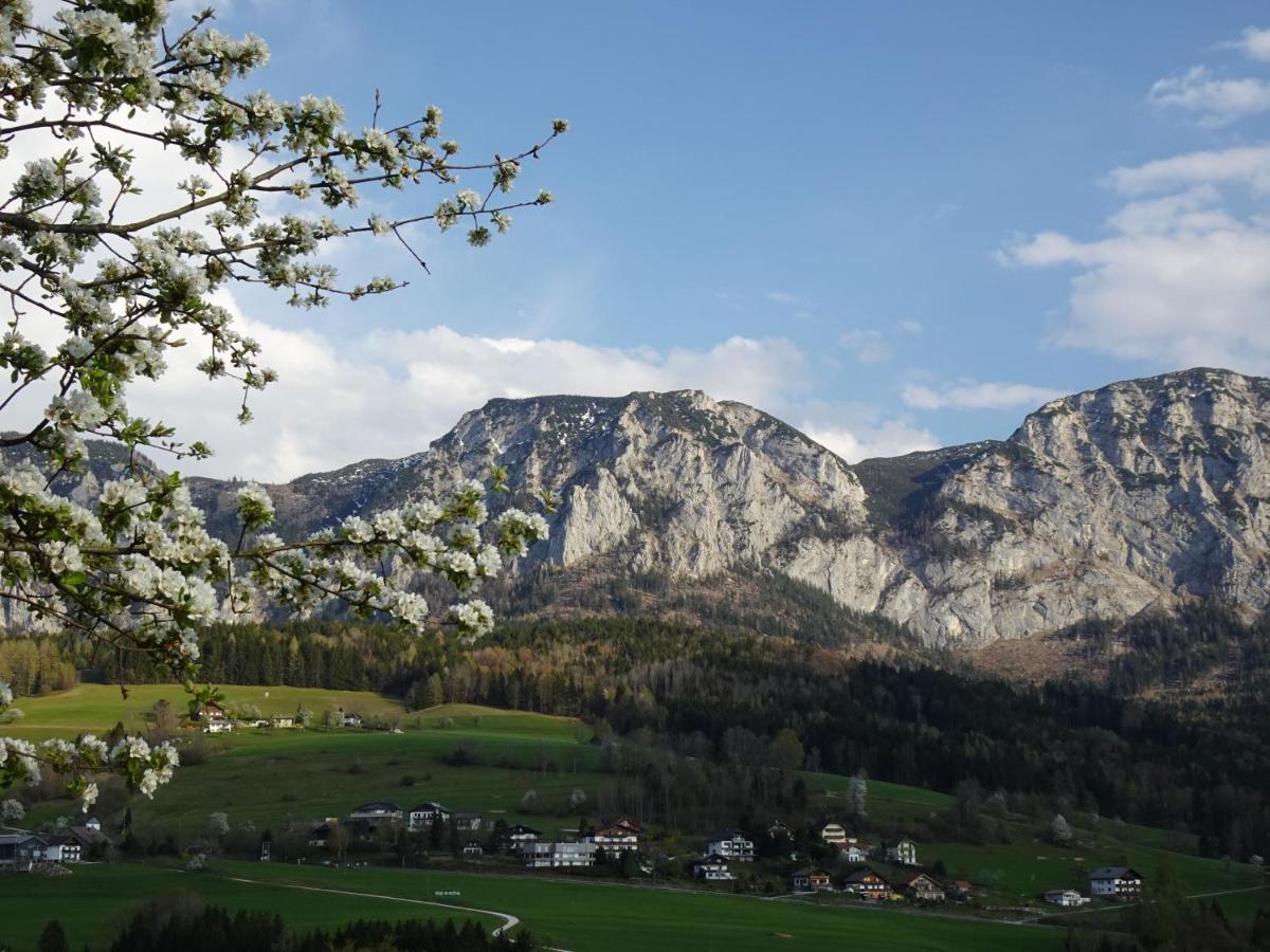 Biohof Schwanser Steinbach am Attersee Exterior photo